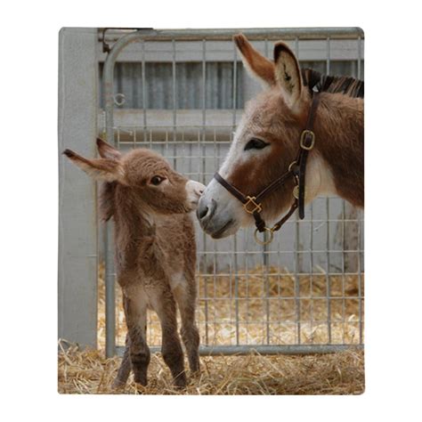 CafePress - Newborn Donkey Foal Throw Blanket - Soft Fleece Throw ...