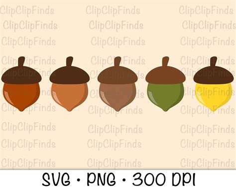 Acorn Acorn Clip Art Fall Acorn Bundle Assorted Colors - Etsy