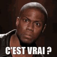 ÇA C'EST VRAI GIF - CestVrai - Discover & Share GIFs