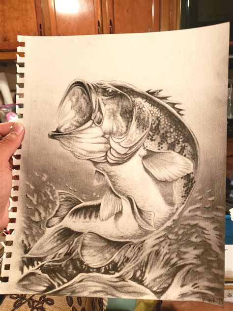 Largemouth Bass Drawing Fish Pencil Drawing, Cool Pencil Drawings, Fish ...