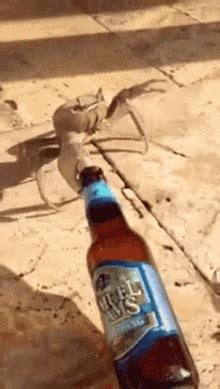 Crab Knife GIF - Crab Knife Fight - Discover & Share GIFs