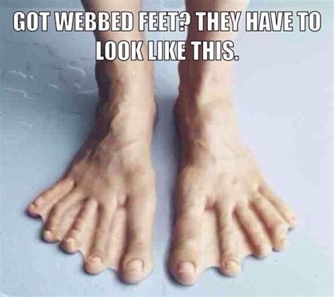 The truth. If you’ve got webbed feet...this is the only way. : r/memes