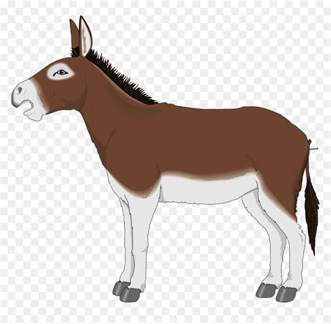 Mule Clipart, HD Png Download - vhv