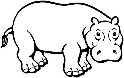 Hippopotamus (Animals) – Free Printable Coloring Pages