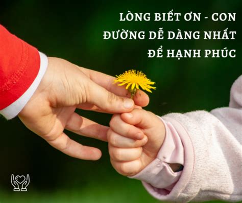 LÒNG BIẾT ƠN – CON ĐƯỜNG DỄ DÀNG NHẤT ĐỂ HẠNH PHÚC - Cùng Sống An Vui