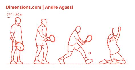 Tennis Ball Dimensions & Drawings | Dimensions.com