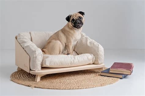 Dog Sofa Bed | Baci Living Room