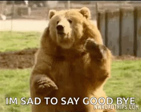 Bear Bye Bear GIF - Bear ByeBear Cute - Discover & Share GIFs