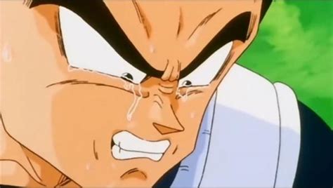 Vegeta Crying In The Rain Meme - aplacewhereichoose