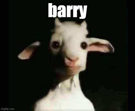 barry Memes & GIFs - Imgflip