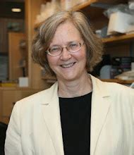 Elizabeth Blackburn: Nobel Prize: Elizabeth Blackburn: Nobel Prize