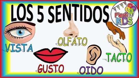 LOS 5 SENTIDOS PARA NIÑOS RENOVADO! THE FIVE SENSES FOR CHILDREN NEW ...