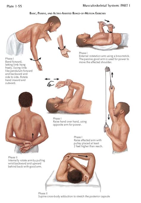 Exercises for range of motion and strengthening of shoulder – Artofit