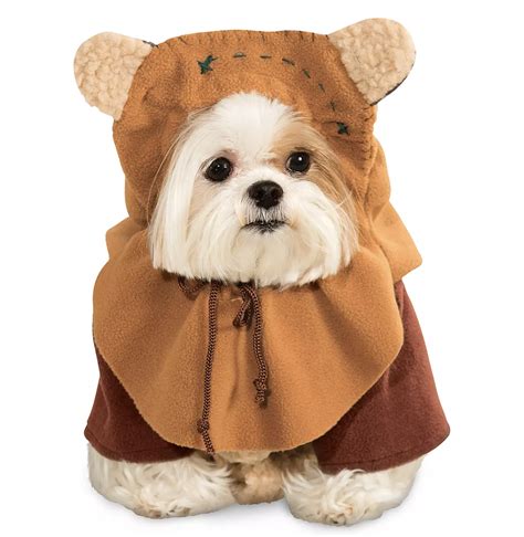 A Wig For Your Dog?! Adorably Funny Pet Costumes Have Arrived in Disney ...