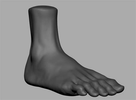 Foot Printable 3D Model $19 - .obj .stl - Free3D