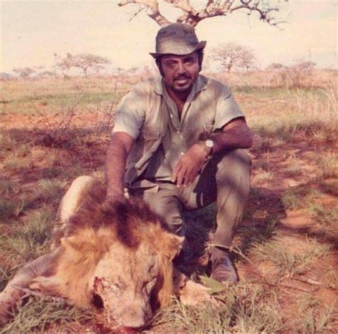 The Fast, Furious, And Brutally Short Life Of An African Male Lion ...