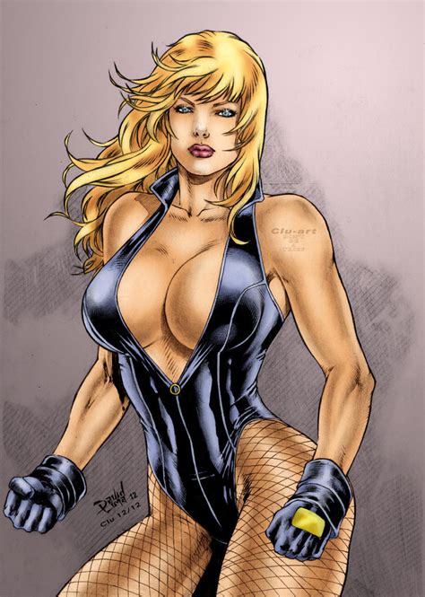 DC's Black Canary by Clu-art on DeviantArt