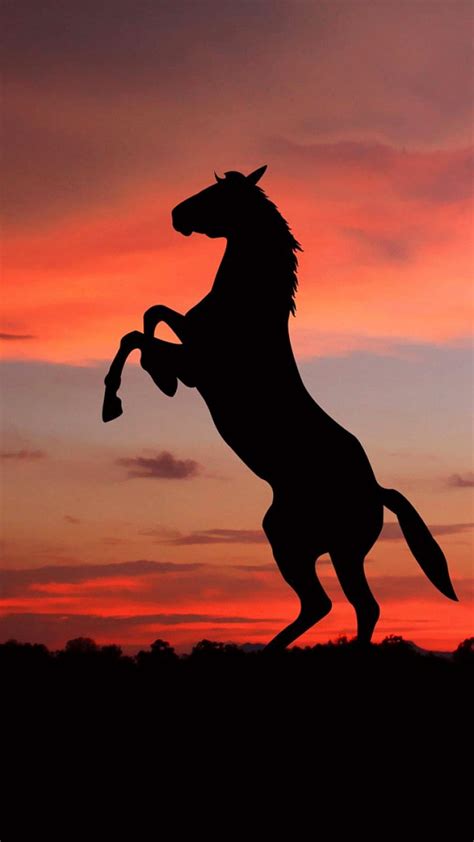 Horse sunset, animals, HD phone wallpaper | Peakpx