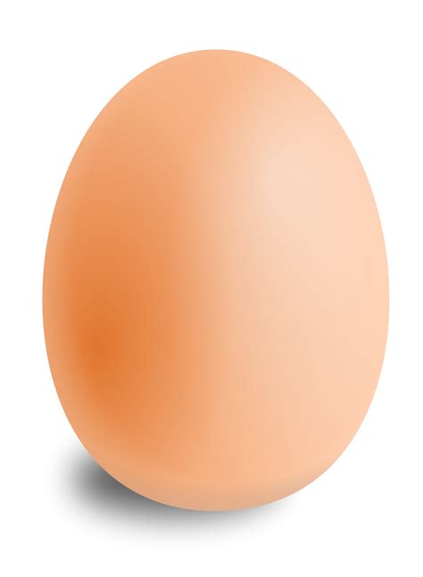 Egg PNG image transparent image download, size: 1760x2400px