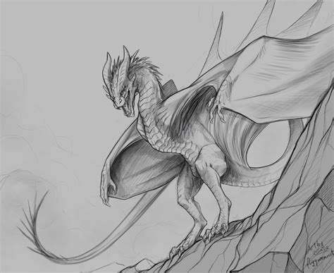 Mountain Wyvern Drawing — Weasyl