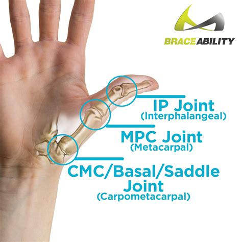 Hard Plastic Thumb Brace | Arthritis Splint & Basal Joint Immobilizer