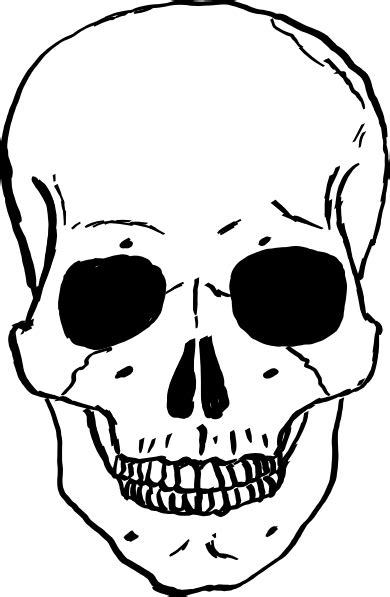 Human Skull Clip Art at Clker.com - vector clip art online, royalty ...