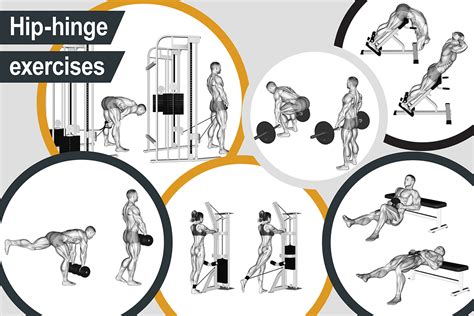 Muscles activated by hip-hinge exercises | Muscle Activation Guide