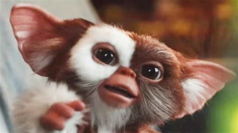 The Gremlins Have Finally Returned, But Not How We All Hoped