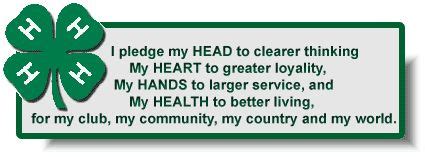 4-H Pledge | 4h pledge, Pledge, Cool words