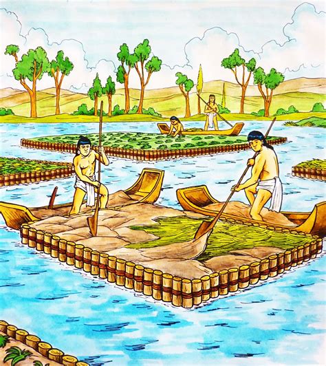 imagen-articulo-chinampa | Aztec agriculture, Permaculture design ...