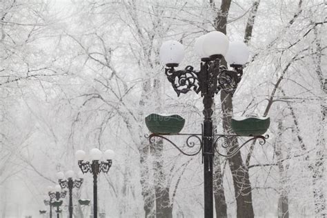 Snow-covered Street Lamps and Trees on a City Boulevard Stock Image ...