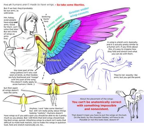 Anatomy of a angel - Google Search | Wings drawing, Wing anatomy, Human ...