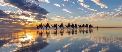 Broome Camel Safaris | Sunset Camel Rides Cable Beach