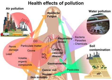 What is environmental health? – HED 110 | Comprehensive Health ...