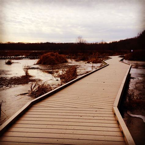 Free Images : sea, water, winter, dock, wood, sunlight, morning, lake ...