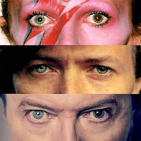 David Bowie Eyes Close Up