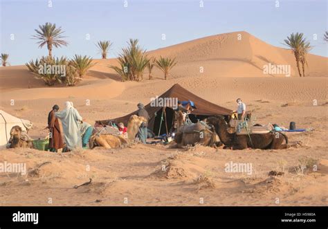 Camping in den Dünen. Kamelritt in der Sahara bei Zagora im Süden ...