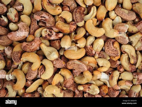 Cashew Nut Shell High Resolution Stock Photography and Images - Alamy