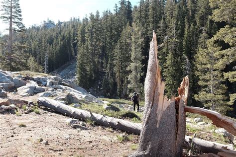 Emigrant Wilderness Loop Trail - California | AllTrails