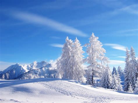 Winter Wonderland Pictures - 2013 Wallpapers