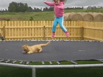 Trampoline GIFs - Find & Share on GIPHY