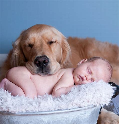 20 Adorable Photos of Kids and Their Dogs | Cute overload - BabaMail