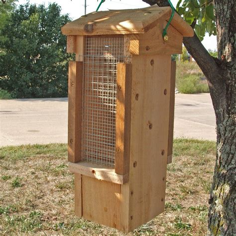 Ultimate Woodpecker Feeder | Woodpecker feeder, Bird house feeder, Bird ...