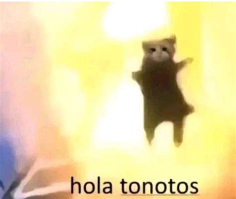 hola tonotos | Imágenes divertidas, Imágenes divertidas de animales ...