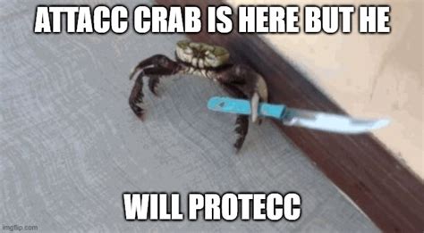 Knife wielding crab - Imgflip