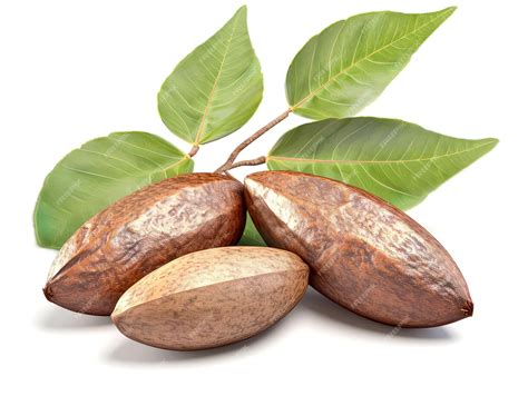 Premium AI Image | Almond nuts with leaves isolated on white background ...