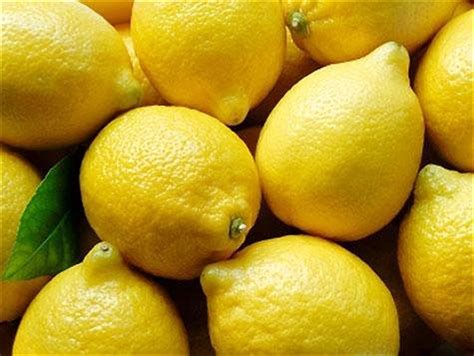 Lemon Manufacturers, Fresh Lemon Suppliers, Natural Yellow Lemon