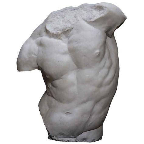 Gaddi Torso Plaster Sculpture | Plaster sculpture, Sculpture, Marble ...