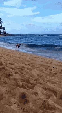 Beach Fail GIFs | Tenor