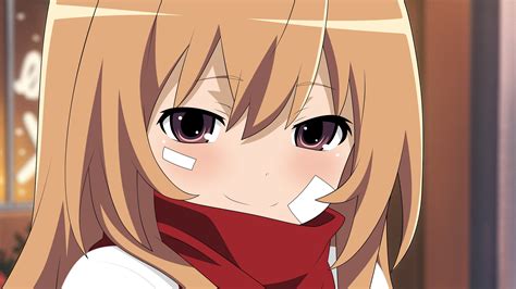 Taiga Toradora Anime Girl